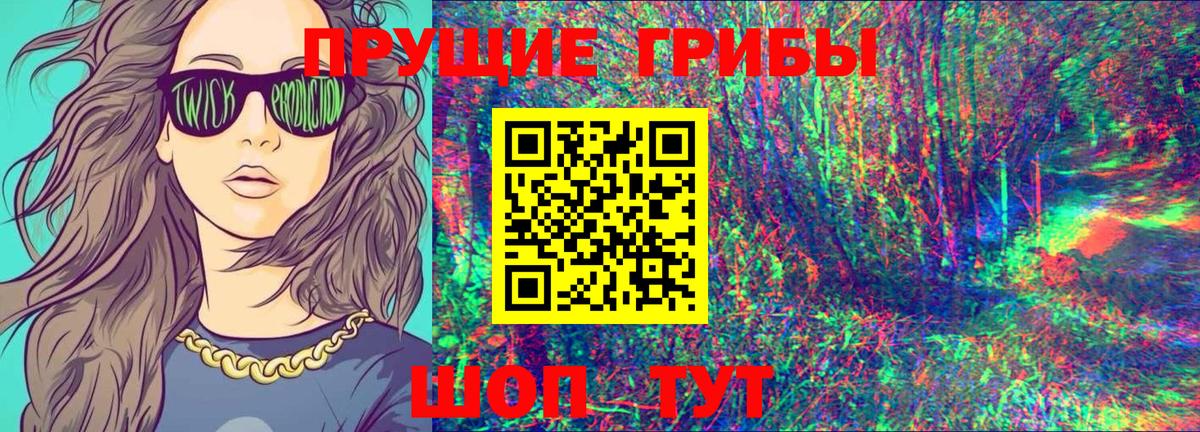 Псилоцибиновые грибы Cubensis Железноводск