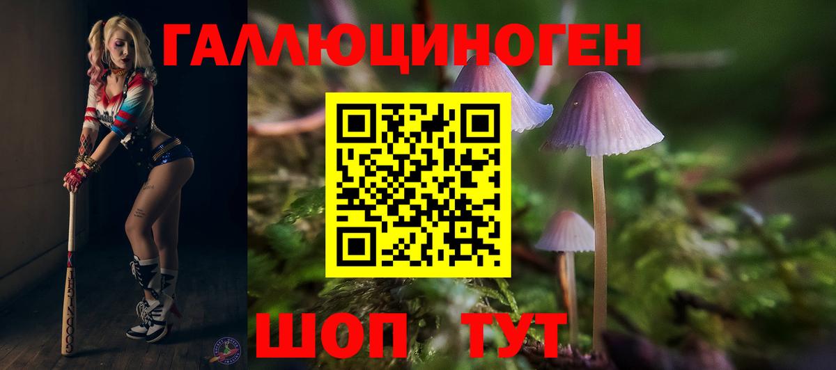 Железноводск  Галлюциногенные грибы Psilocybine cubensis  Вход с VPN  Галлюциногенные грибы Psilocybine cubensis 